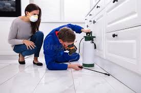 Best Emergency Pest Control  in Paulsboro, NJ